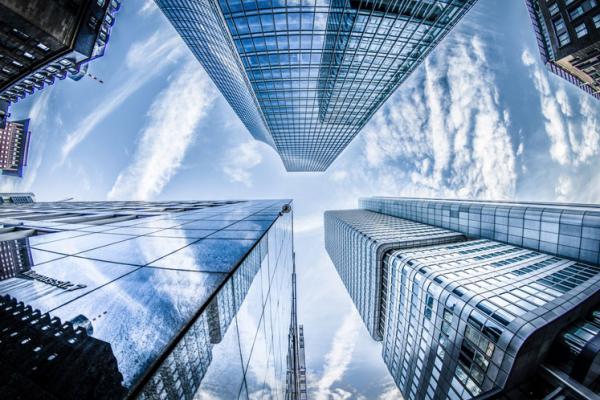 Dummy Portfolio Item 11