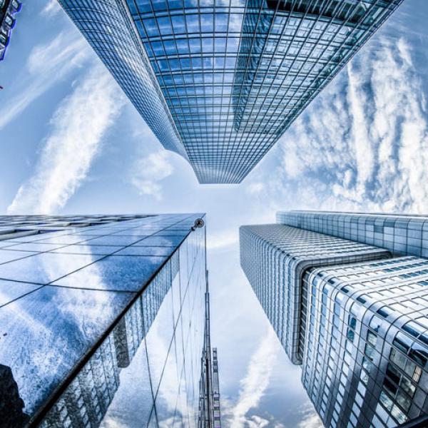 Dummy Portfolio Item 11