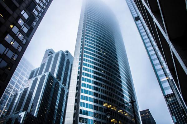 Dummy Portfolio Item 12