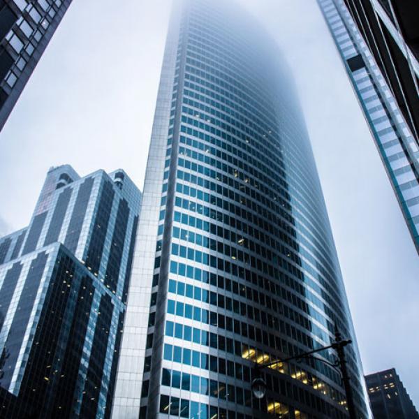 Dummy Portfolio Item 12