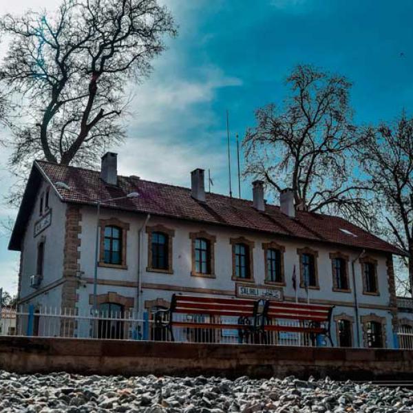 Dummy Portfolio Item 7