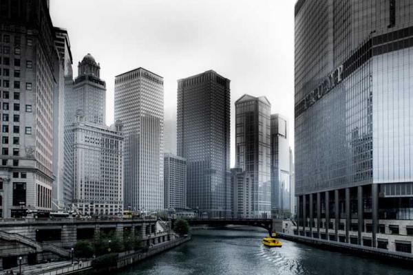 Dummy Portfolio Item 8