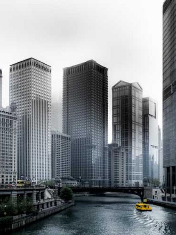 Dummy Portfolio Item 8